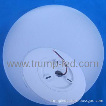 Apple LED Ceiling Light